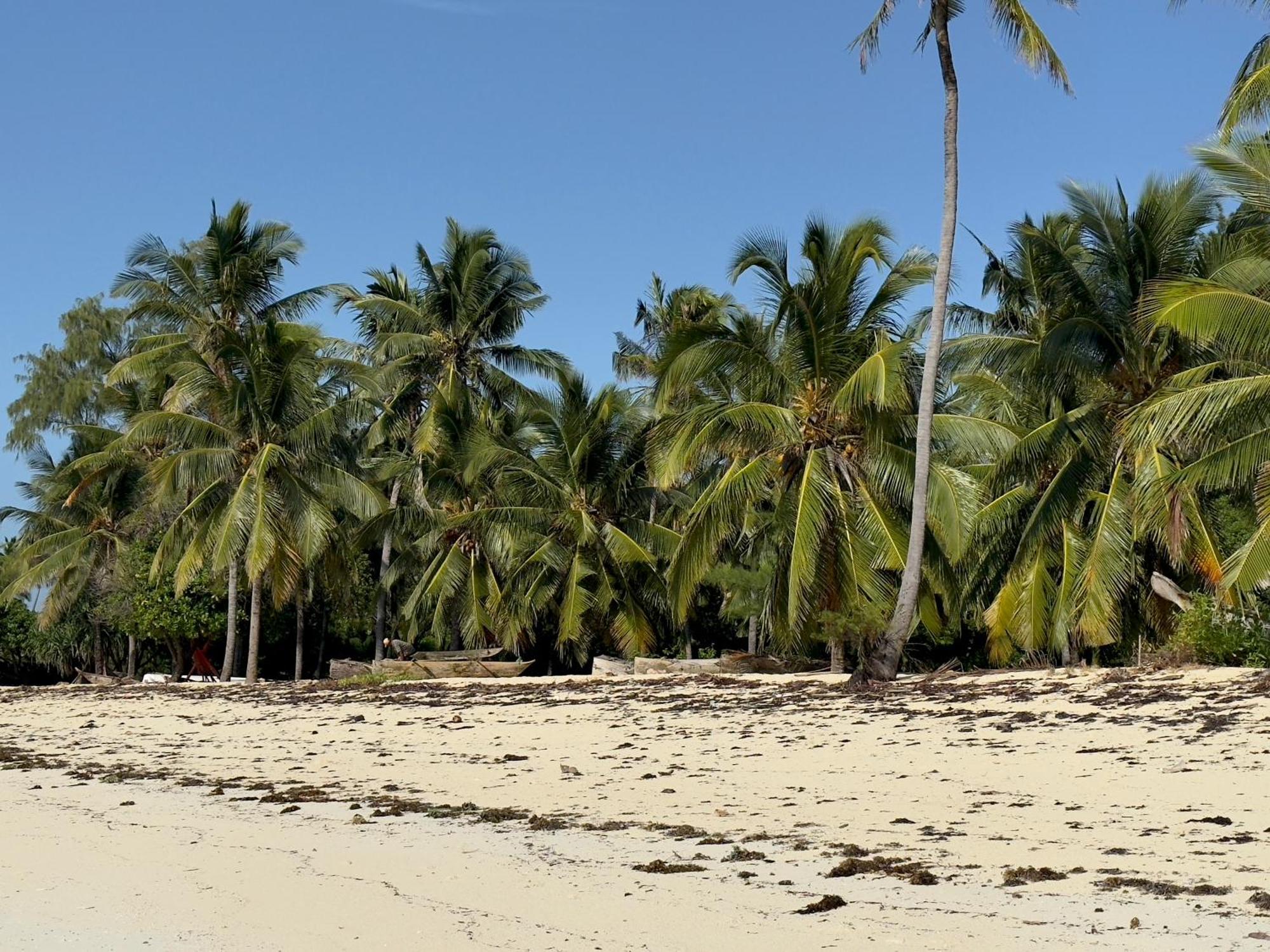 Juana Ocean Villas Makunduchi エクステリア 写真